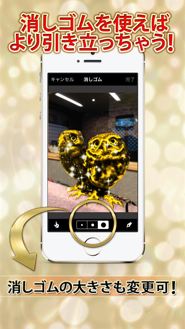 ゴールデンカメラ（金カメ！）のスクリーンショット_4