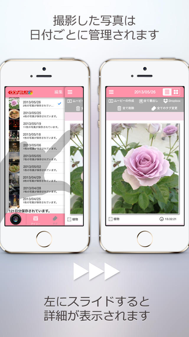 写真アルバム デイリープラス LITE（日分けカメラ）のスクリーンショット_2
