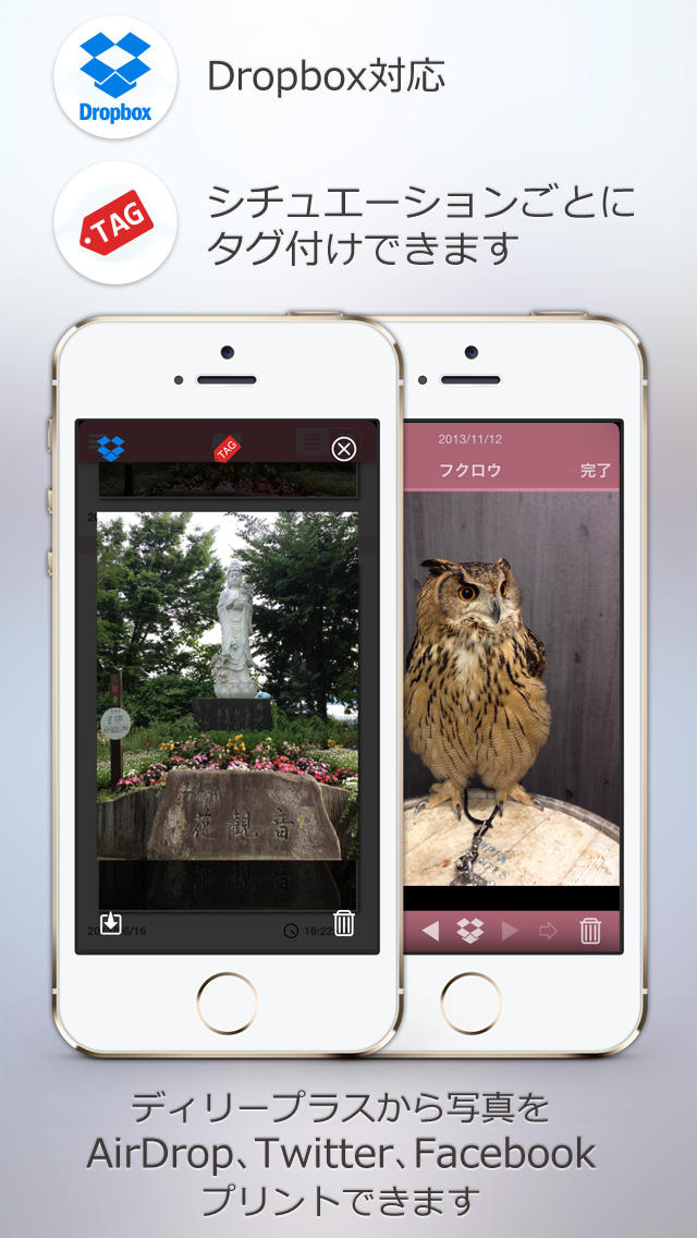 写真アルバム デイリープラス LITE（日分けカメラ）のスクリーンショット_3