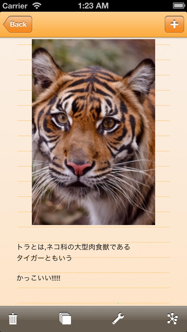 MemoPic(メモピク) - 画像メモ帳 PDF出力付き ~写真/アルバム/ピクチャ/イメージ/カメラ/WEB画面のあらゆる画像の整理に~のスクリーンショット_4