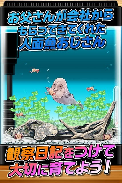 育成ゲーム 人面魚おじさん育成キットのスクリーンショット_2
