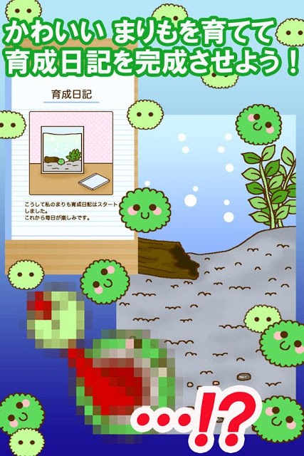 かわいい育成ゲーム　『まりまりも育成日記』のスクリーンショット_5
