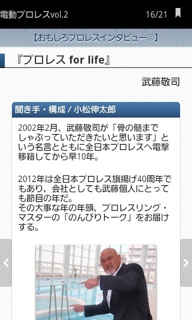 電動プロレス vol.2のスクリーンショット_5