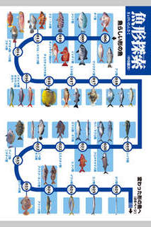 釣魚識別図鑑－ここで見分けようのスクリーンショット_2