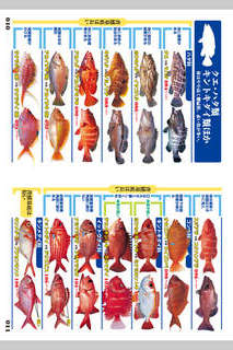 釣魚識別図鑑－ここで見分けようのスクリーンショット_3