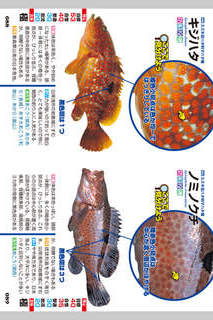 釣魚識別図鑑－ここで見分けようのスクリーンショット_4