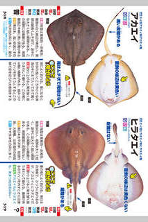 釣魚識別図鑑－ここで見分けようのスクリーンショット_5