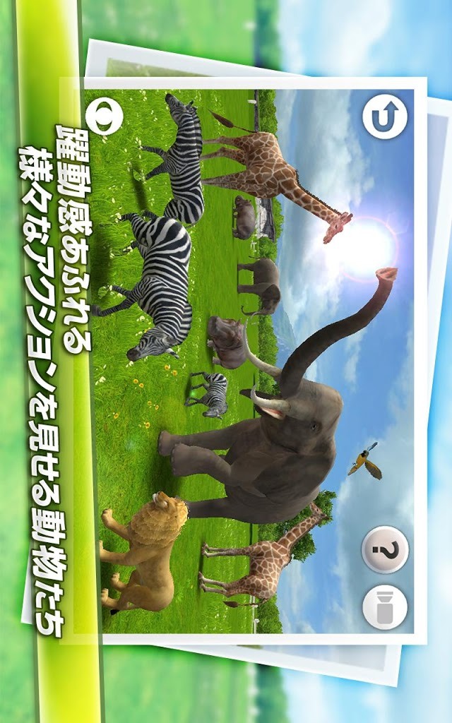 リアルアニマルHD for LINEのスクリーンショット_2