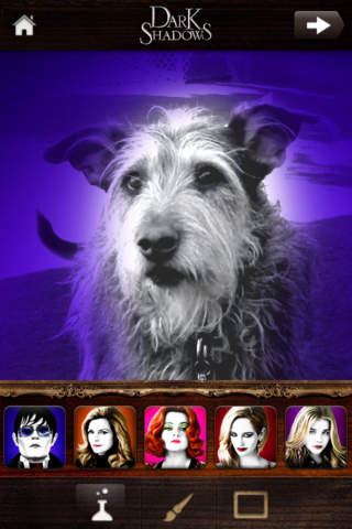 Dark Shadows: Photo Filter Appのスクリーンショット_2