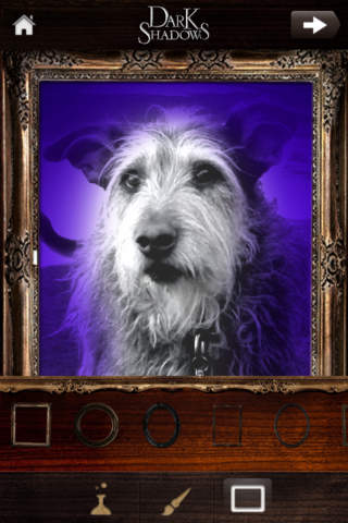 Dark Shadows: Photo Filter Appのスクリーンショット_3