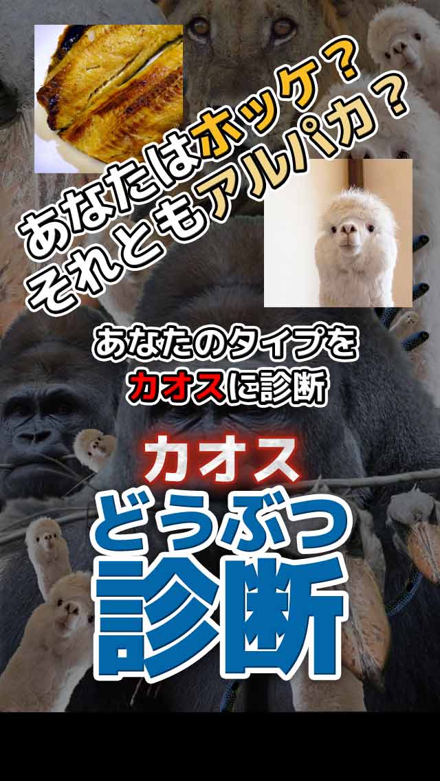 カオスどうぶつ診断のスクリーンショット_1