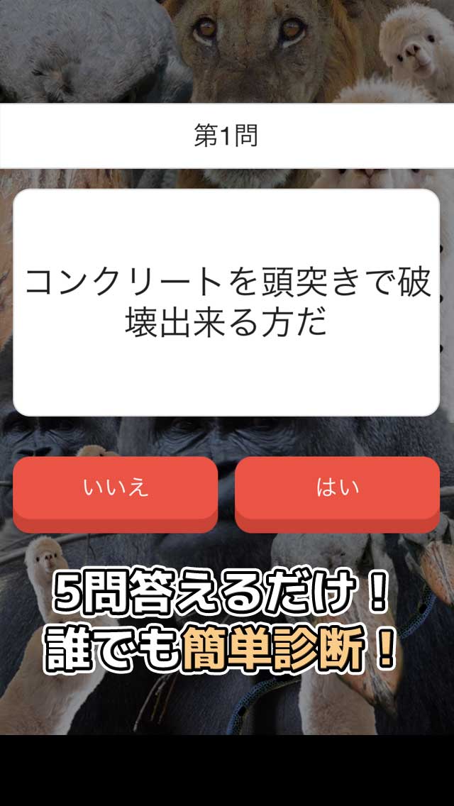 カオスどうぶつ診断のスクリーンショット_2