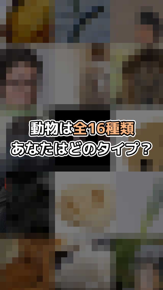 カオスどうぶつ診断のスクリーンショット_3