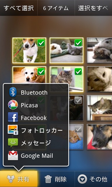 Photo Lockerフォトロッカー・写真の隠し場所プロ版のスクリーンショット_5
