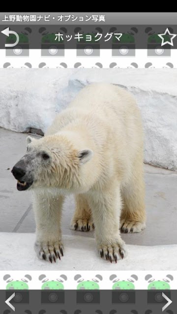 上野動物園ナビ　動物カメラオプション（１）のスクリーンショット_2