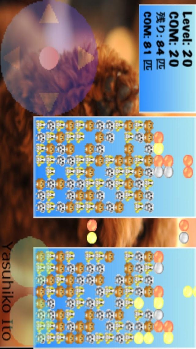 わんわんパラダイスのスクリーンショット_1