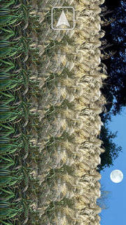 不思議アート（3D STEREOGRAM）のスクリーンショット_4