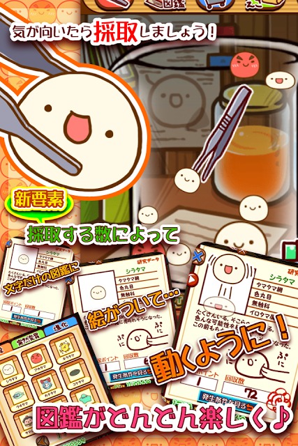 新種発見タマタマ研究所のスクリーンショット_4