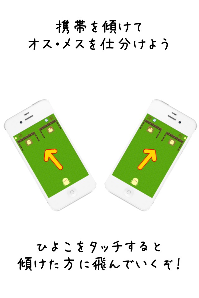 ひよこ鑑定のスクリーンショット_1