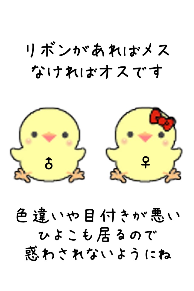 ひよこ鑑定のスクリーンショット_2