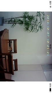 Skylink Viewのスクリーンショット_3