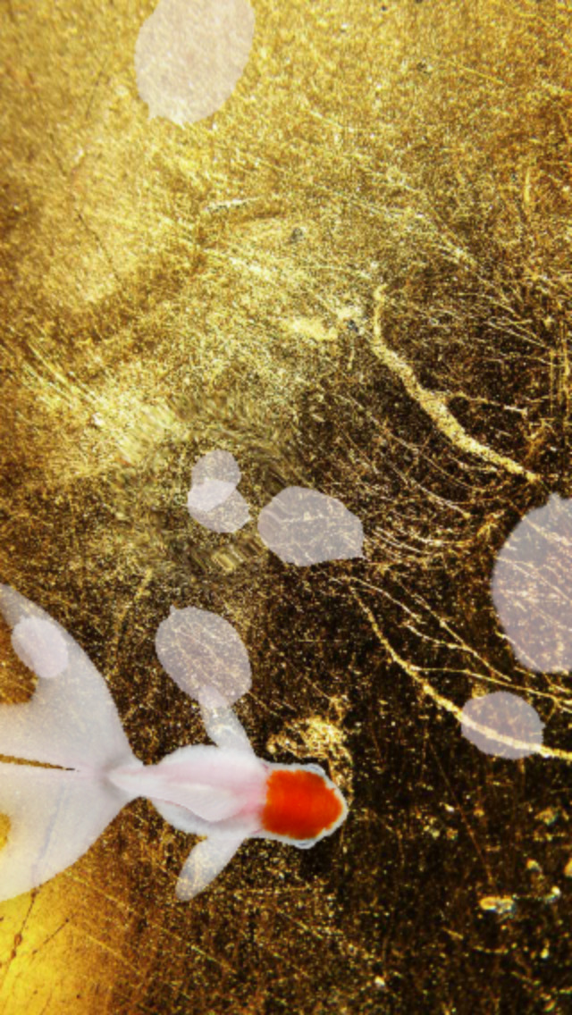 KingyoArtのスクリーンショット_1