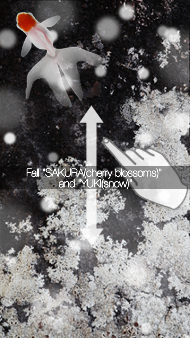 KingyoArtのスクリーンショット_3