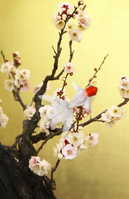 KingyoArtのスクリーンショット_1