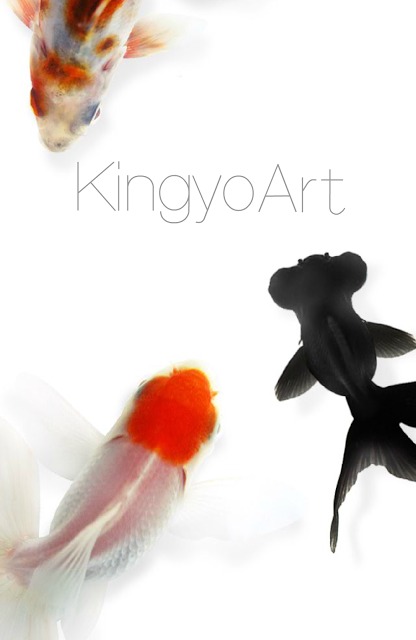 KingyoArtのスクリーンショット_4