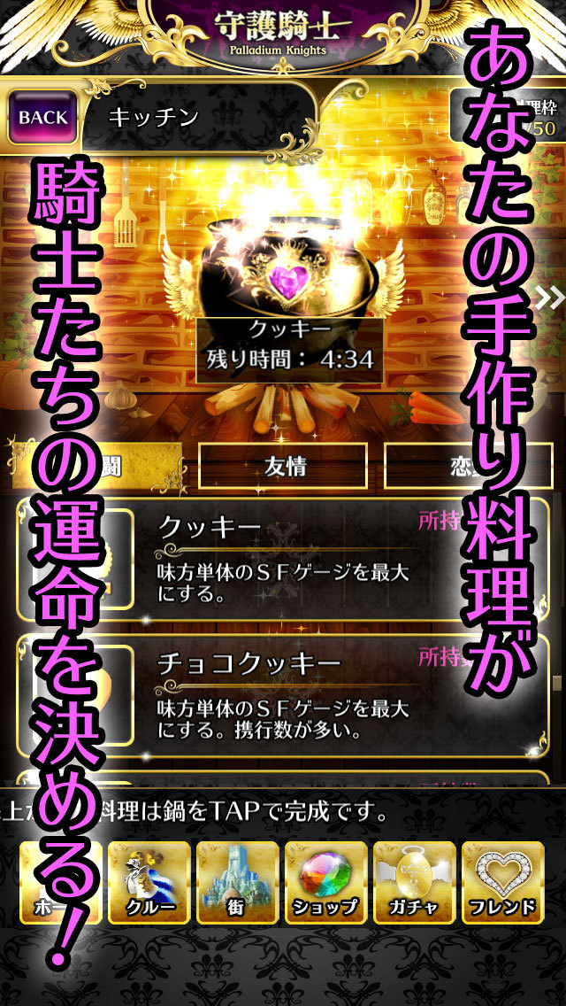 Palladium Knights～守護騎士～のスクリーンショット_4