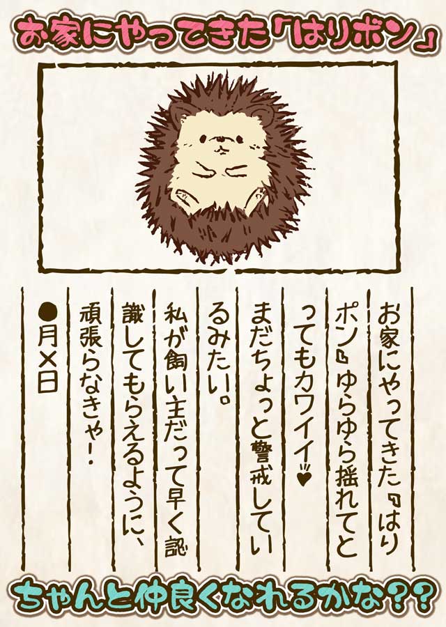 はりボン育成日記～愛しのハリネズミ育成日記～のスクリーンショット_1