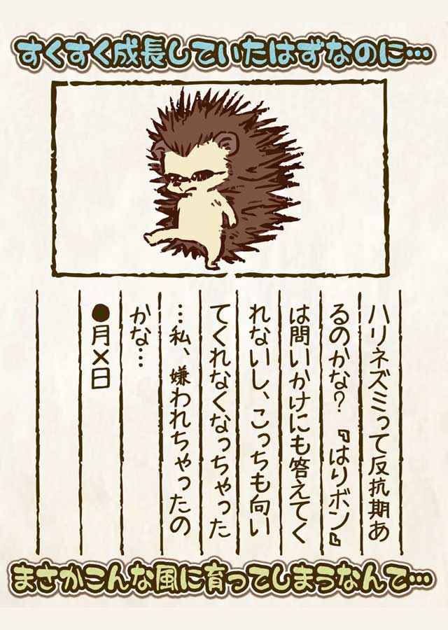 はりボン育成日記～愛しのハリネズミ育成日記～のスクリーンショット_2