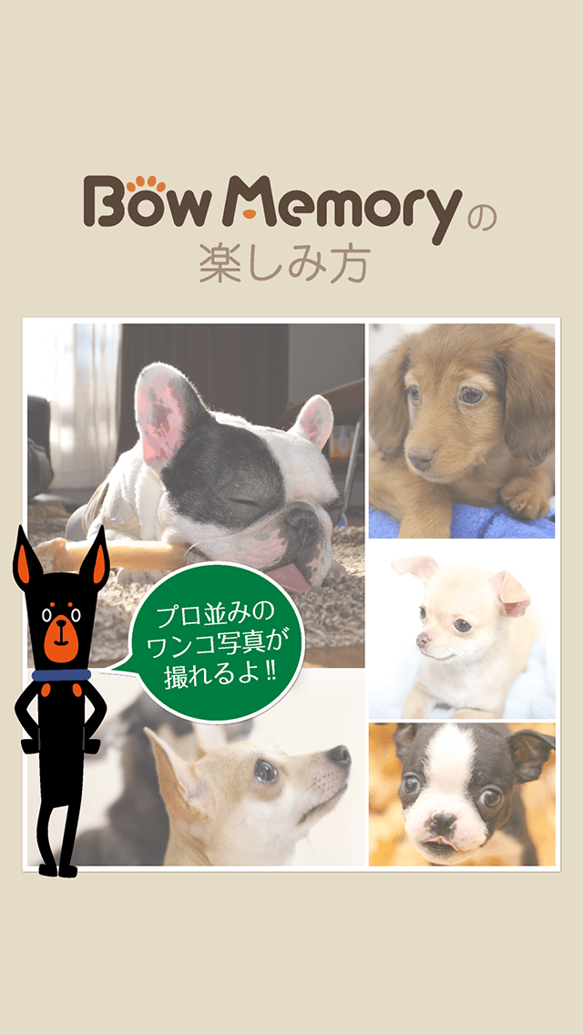 バウメモリーのスクリーンショット_1