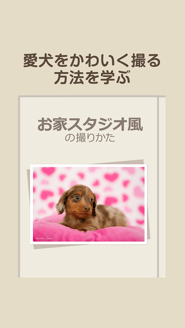 バウメモリーのスクリーンショット_2