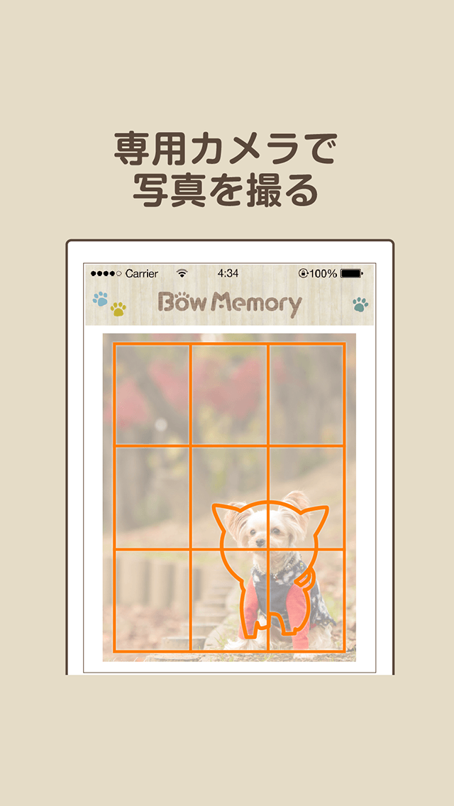 バウメモリーのスクリーンショット_3