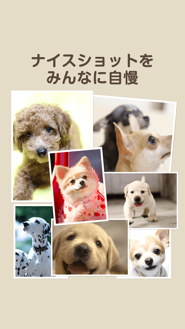 バウメモリーのスクリーンショット_4