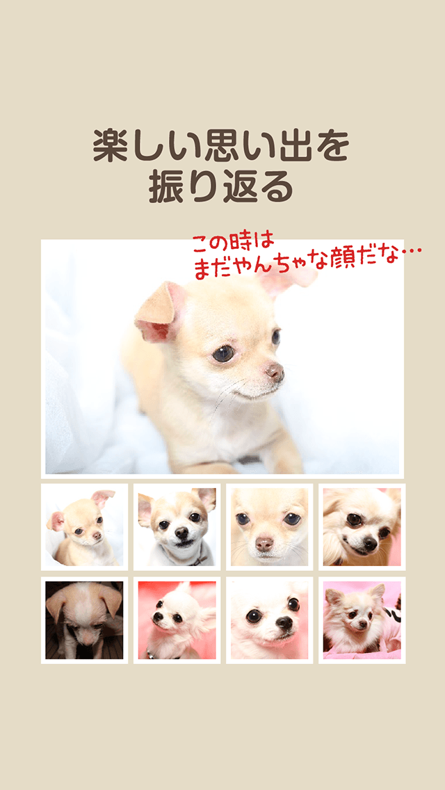 バウメモリーのスクリーンショット_5