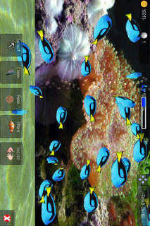 アクアランドのスクリーンショット_3