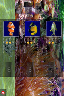 アクアランドのスクリーンショット_4