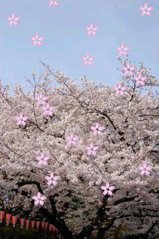 Sakura Petals Livewallpaperのスクリーンショット_2