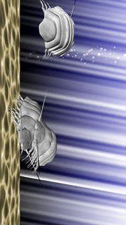 アクアランド+のスクリーンショット_4