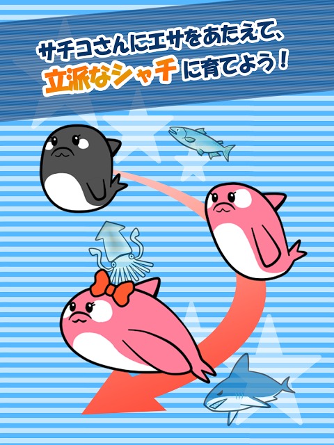 【無料育成ゲーム】シャチのサチコさんのスクリーンショット_1