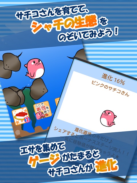 【無料育成ゲーム】シャチのサチコさんのスクリーンショット_2