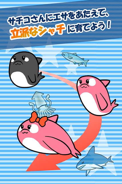 【無料育成ゲーム】シャチのサチコさんのスクリーンショット_4