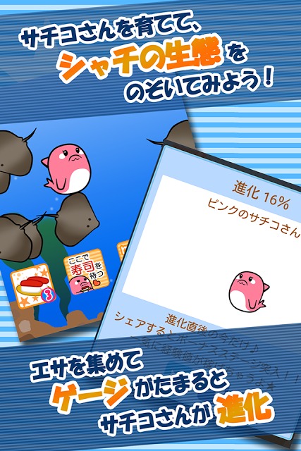 【無料育成ゲーム】シャチのサチコさんのスクリーンショット_5