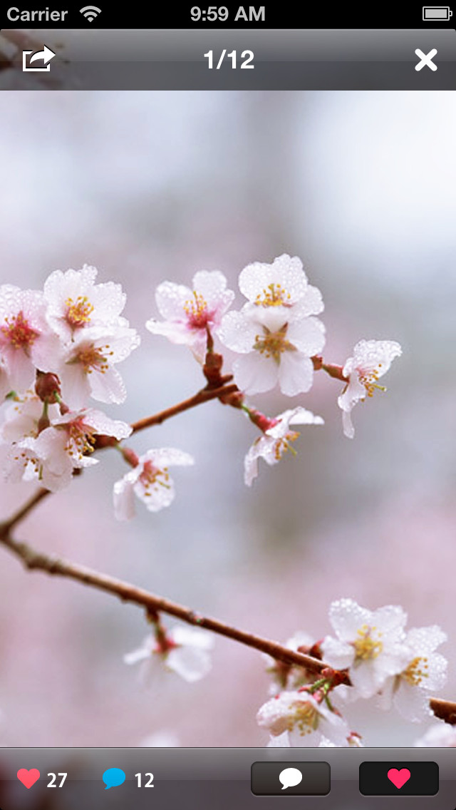 GREE (グリー)のスクリーンショット_2