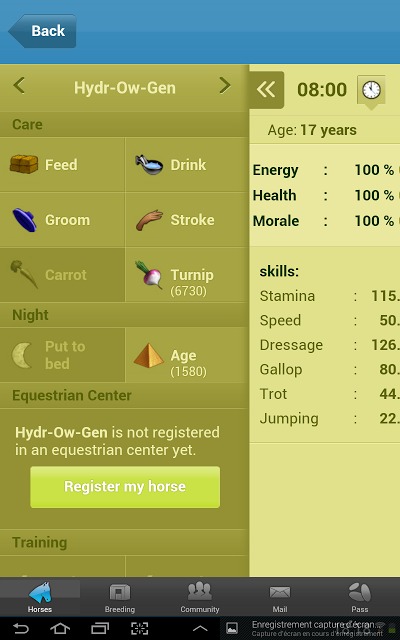 Howrseのスクリーンショット_2