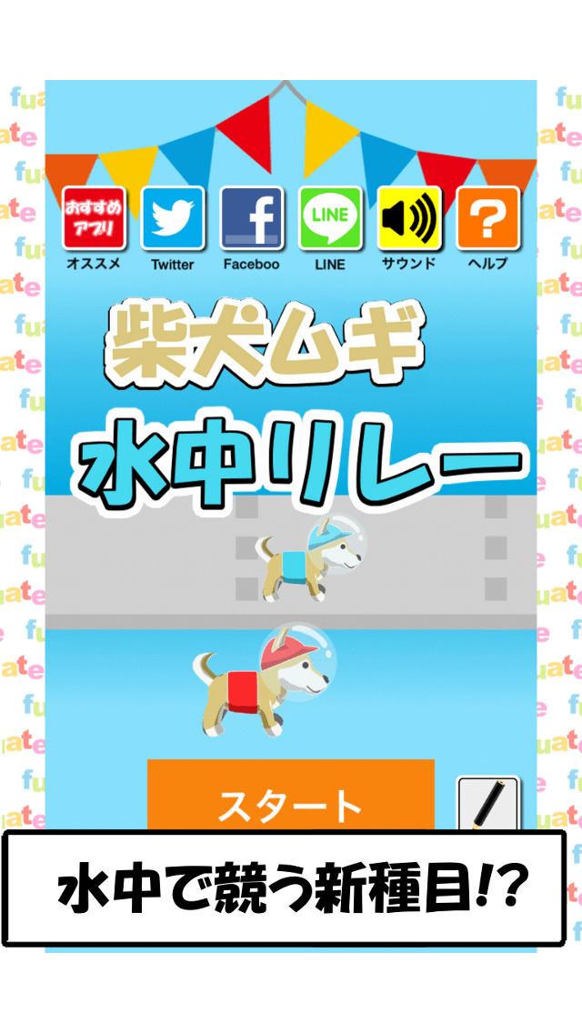 柴犬ムギ - 水中リレー世界大会への挑戦のスクリーンショット_1
