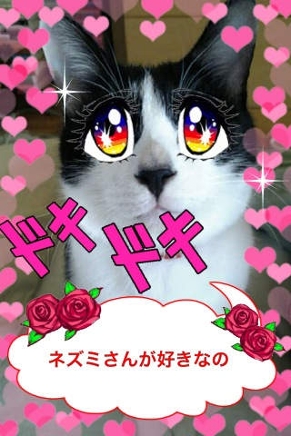 ゆぅにゃん FREEのスクリーンショット_5