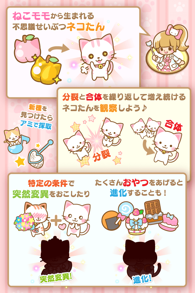 ネコたん研究所のスクリーンショット_5